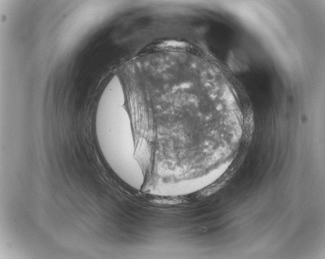 X0000085270765200704092140