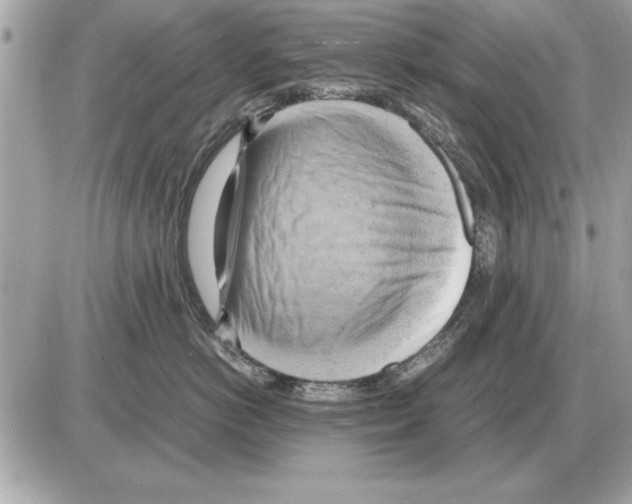 X0000085270766200704092140