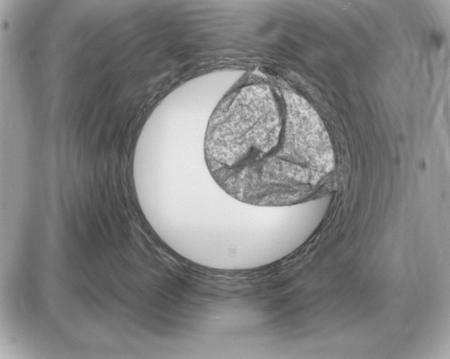 X0000085270768200704092140