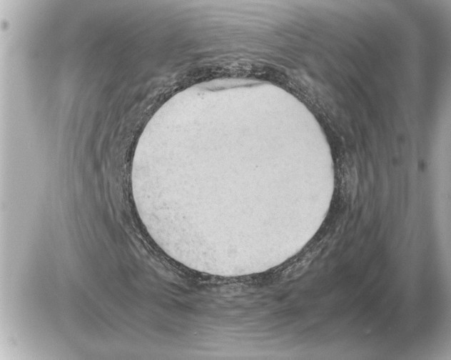 X0000085270769200704092139