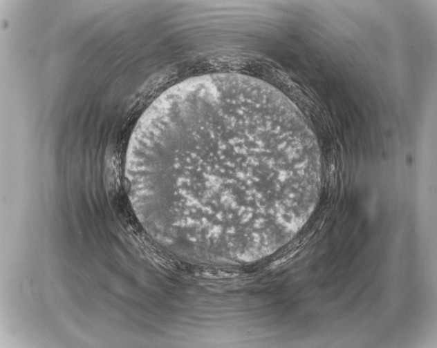 X0000085270772200704092139