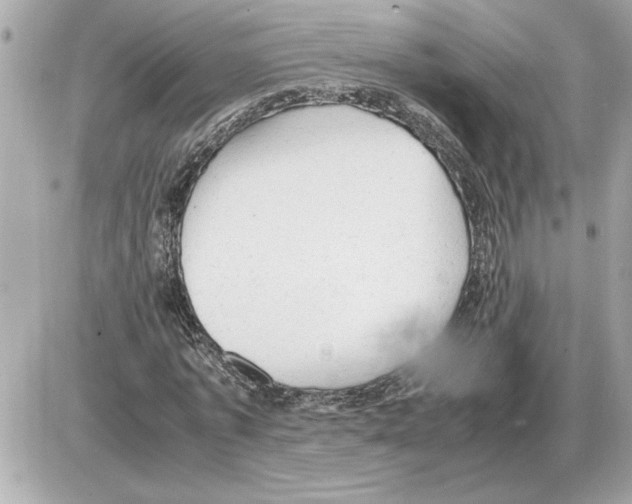 X0000085270773200704092139