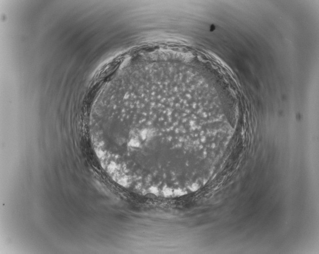 X0000085270775200704092139