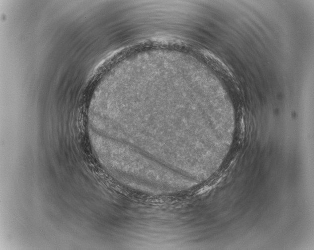 X0000085270776200704092139