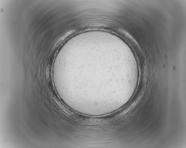 X0000085270777200704092139