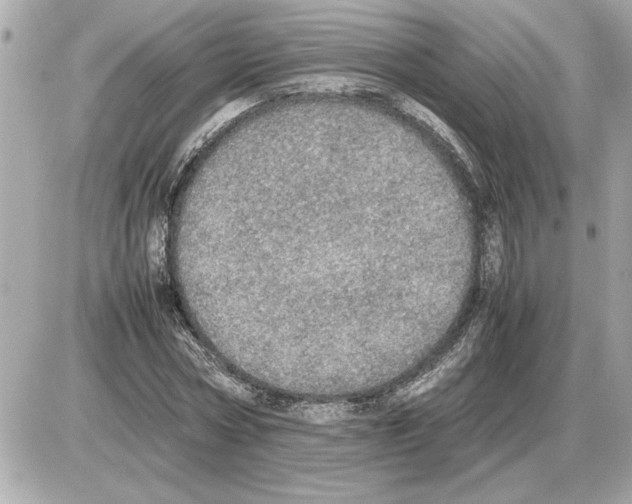 X0000085270778200704092139