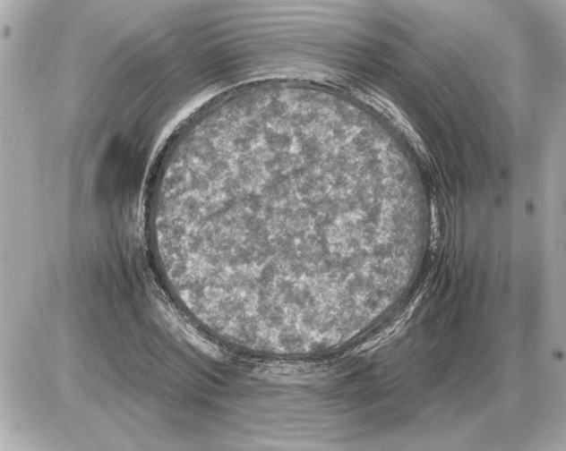 X0000085270780200704092139