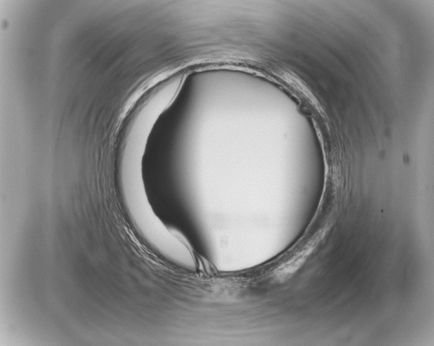 X0000085270781200704092139