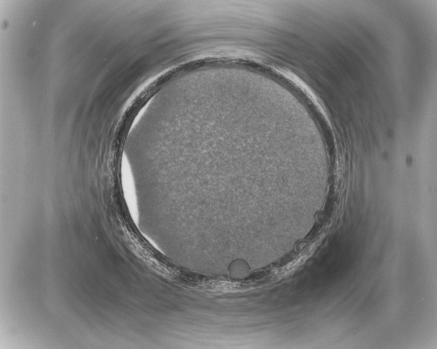 X0000085270783200704092139