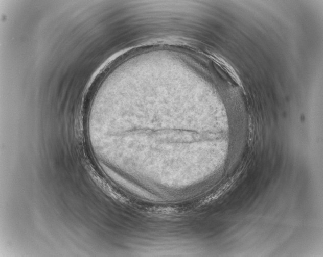 X0000085270784200704092139