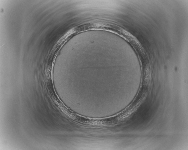 X0000085270785200704092139