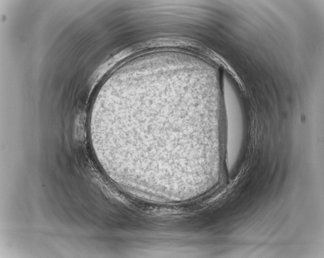 X0000085270786200704092139