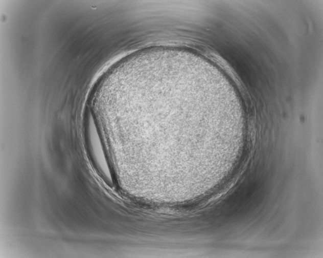 X0000085270787200704092139