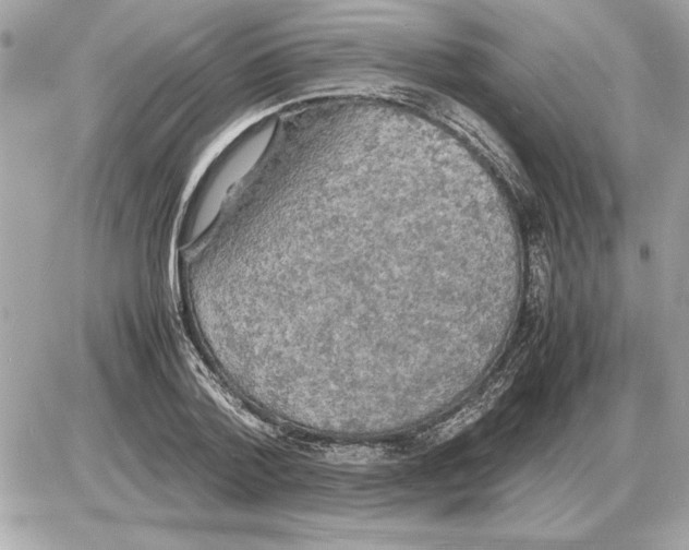 X0000085270788200704092139