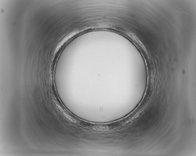 X0000085270789200704092139