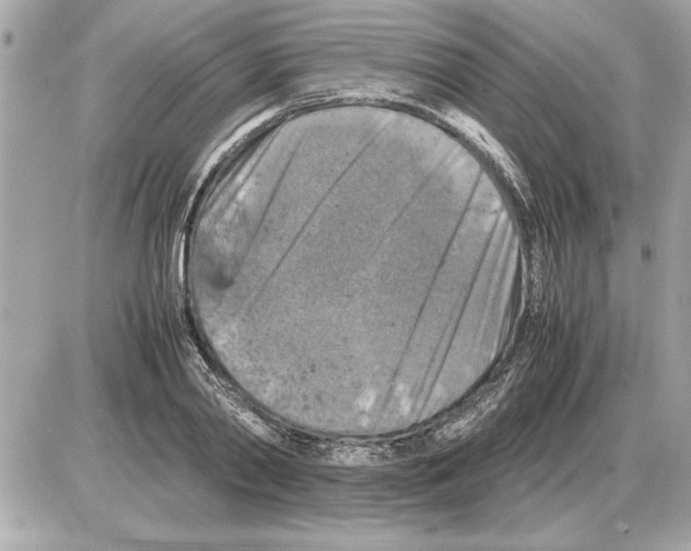 X0000085270790200704092139