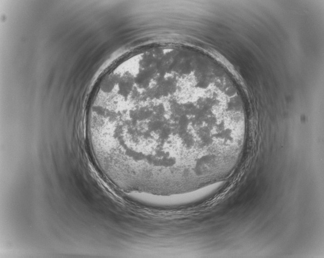 X0000085270791200704092139