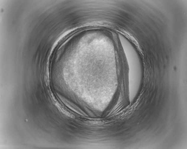 X0000085270792200704092139