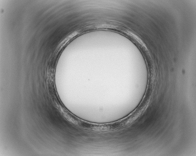 X0000085270793200704092139