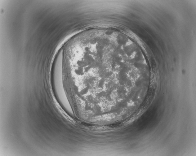 X0000085270795200704092139