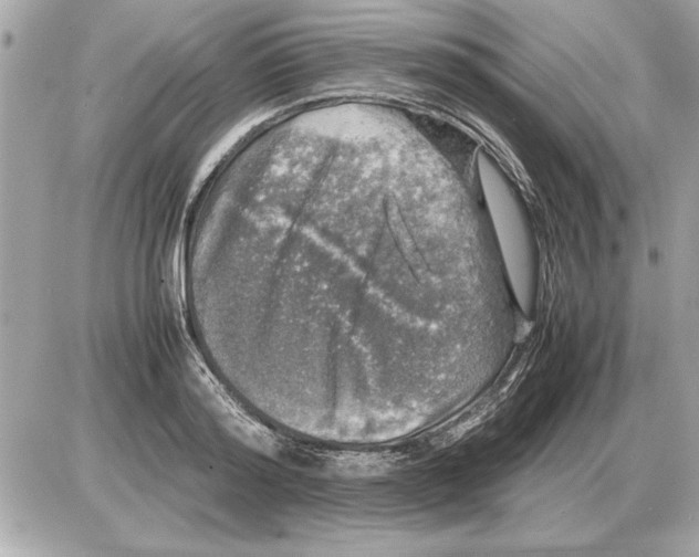 X0000085270796200704092139