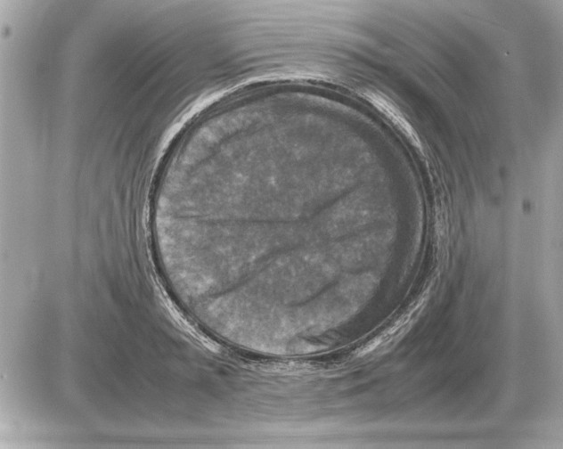 X0000085270797200704092139