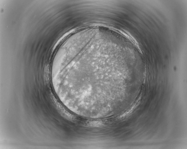 X0000085270798200704092139