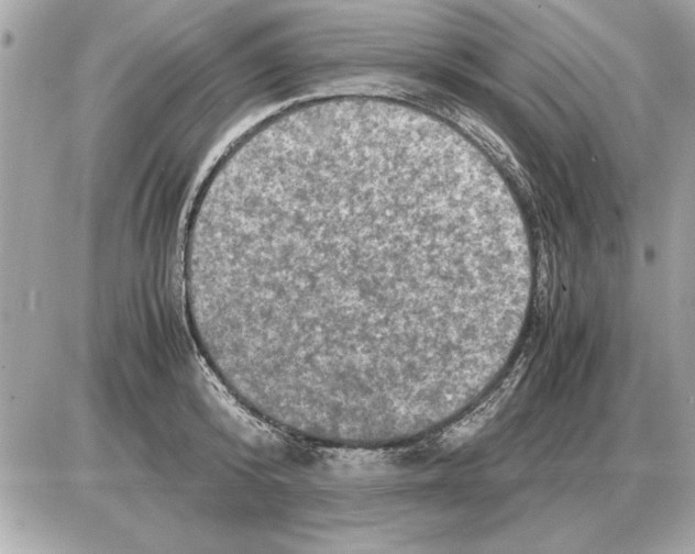 X0000085270800200704092138