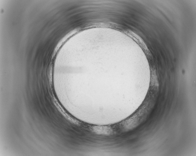 X0000085270804200704092138