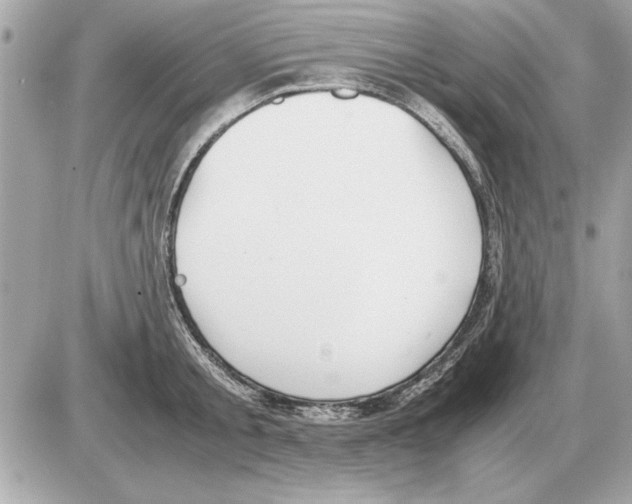 X0000085270805200704092138