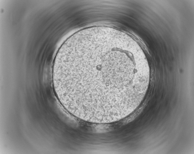 X0000085270808200704092138