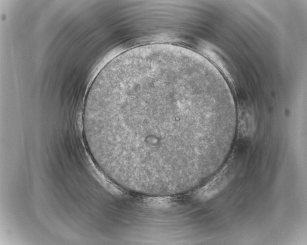 X0000085270810200704092138