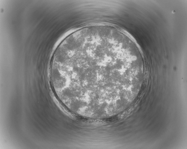 X0000085270811200704092138