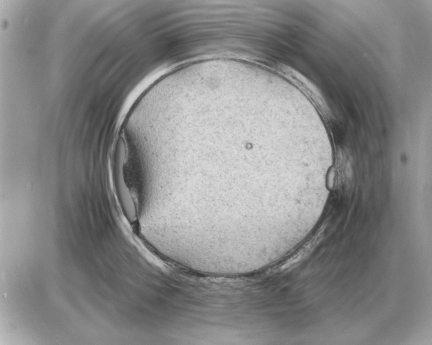 X0000085270812200704092138