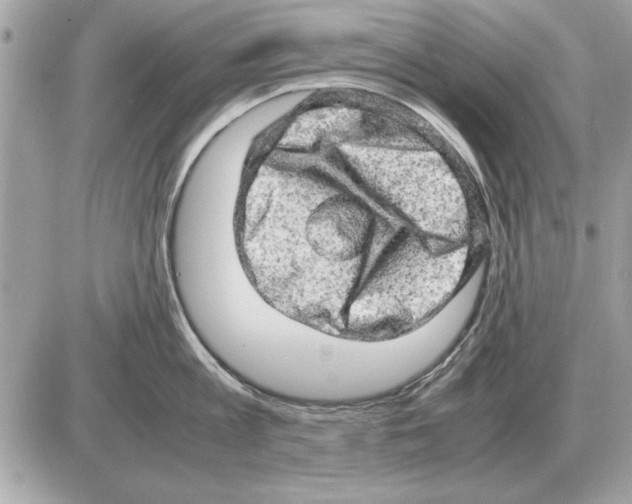 X0000085270813200704092138