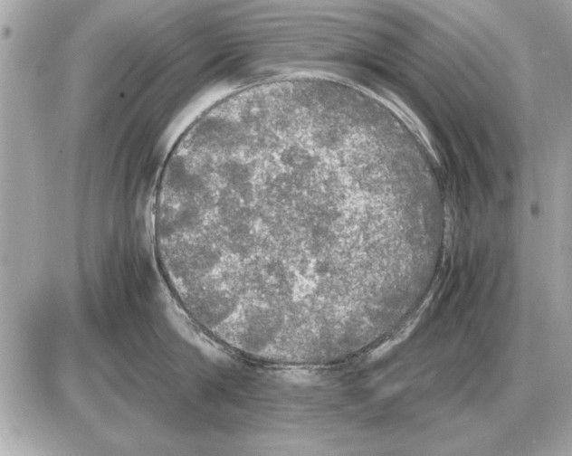 X0000085270814200704092138