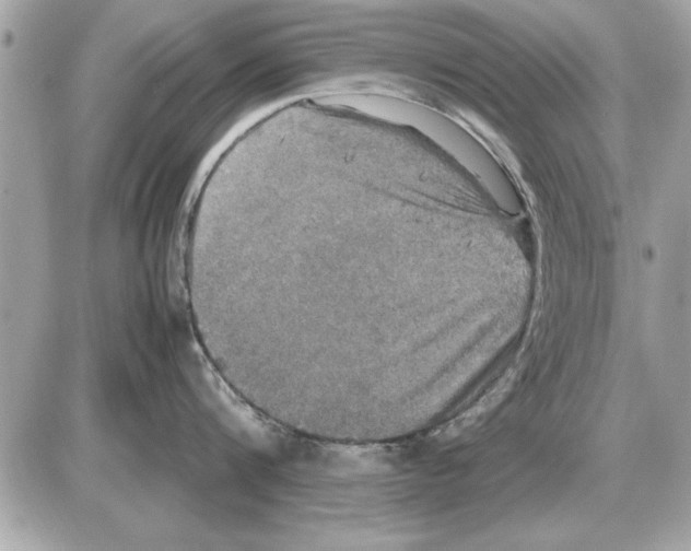 X0000085270816200704092138