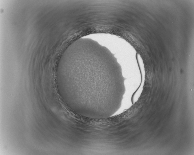 X0000085270817200704092137