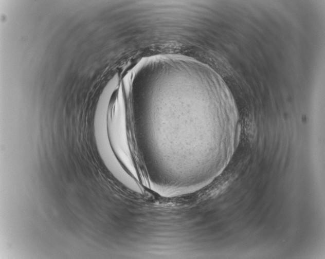 X0000085270818200704092137