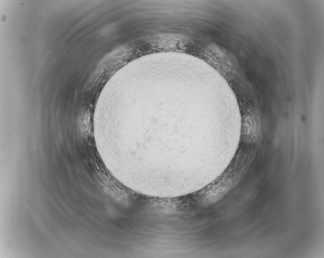 X0000085270820200704092137