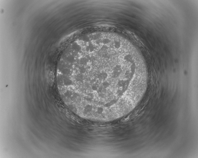 X0000085270821200704092137