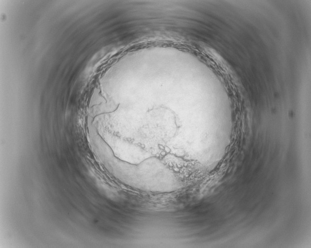 X0000085270824200704092138