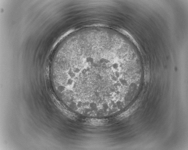 X0000085270827200704092138