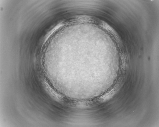 X0000085270828200704092138