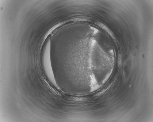 X0000085270829200704092138