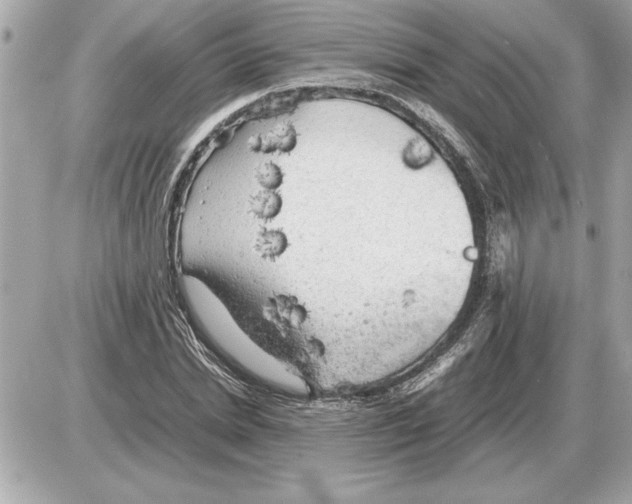 X0000085270830200704092138