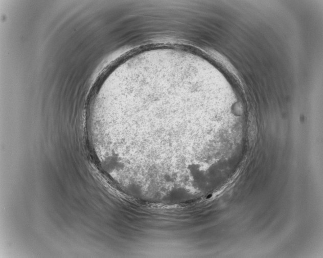 X0000085270831200704092138