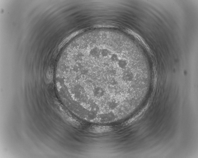 X0000085270833200704092138