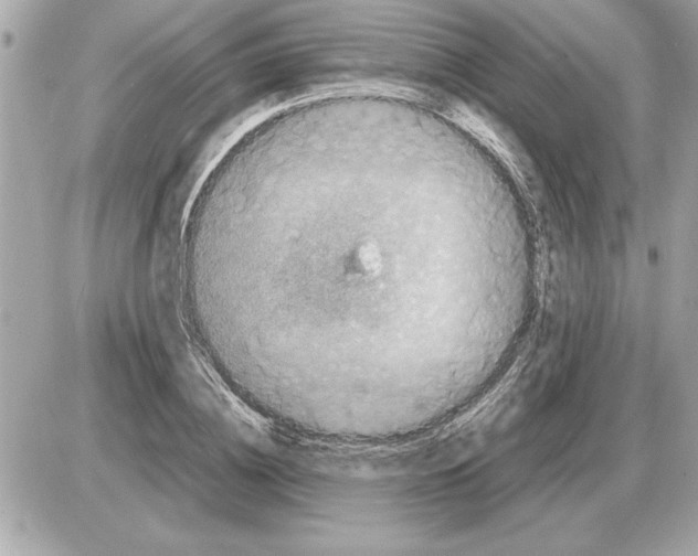 X0000085270836200704092138