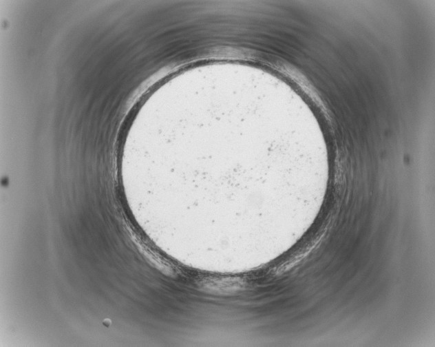 X0000085270837200704092138